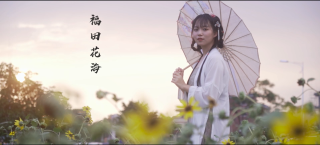 参赛作品截图